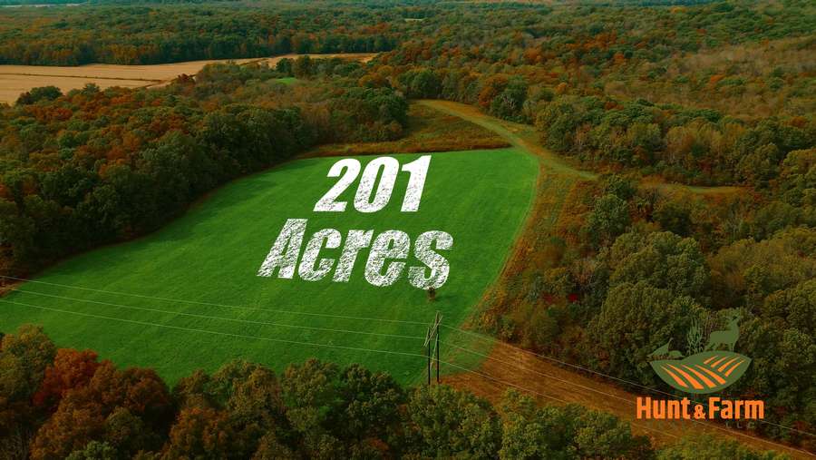 Still 2025-11-29 081237_1.97.16.jpg